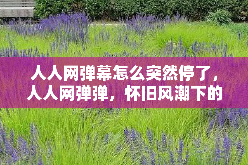 人人网弹幕怎么突然停了，人人网弹弹，怀旧风潮下的经典游戏复兴