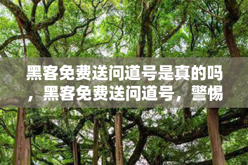 黑客免费送问道号是真的吗，黑客免费送问道号，警惕背后的风险与合规性