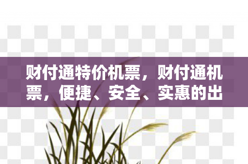 财付通特价机票，财付通机票，便捷、安全、实惠的出行新选择