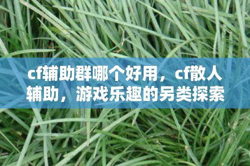 cf辅助群哪个好用，cf散人辅助，游戏乐趣的另类探索