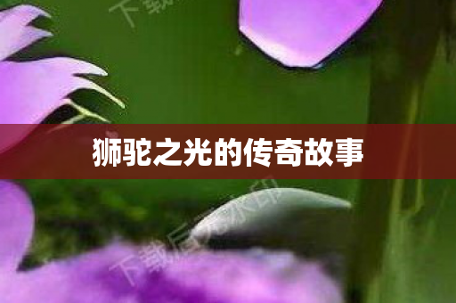 狮驼之光的传奇故事