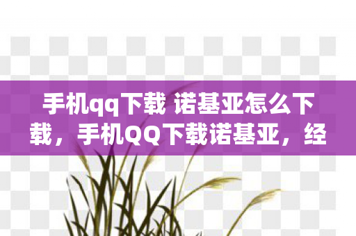 手机qq下载 诺基亚怎么下载，手机QQ下载诺基亚，经典再现，回忆与创新的碰撞