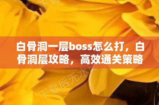 白骨洞一层boss怎么打，白骨洞层攻略，高效通关策略