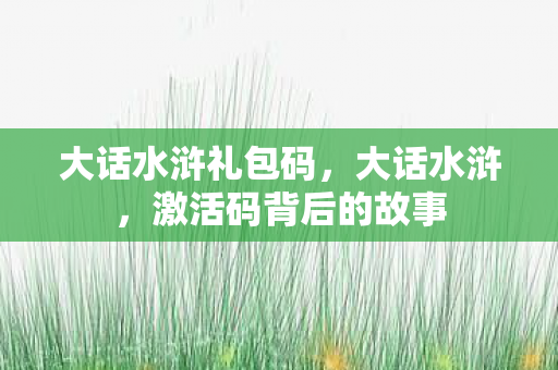 大话水浒礼包码，大话水浒，激活码背后的故事