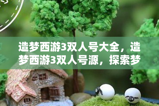 造梦西游3双人号大全，造梦西游3双人号源，探索梦幻世界的双重冒险