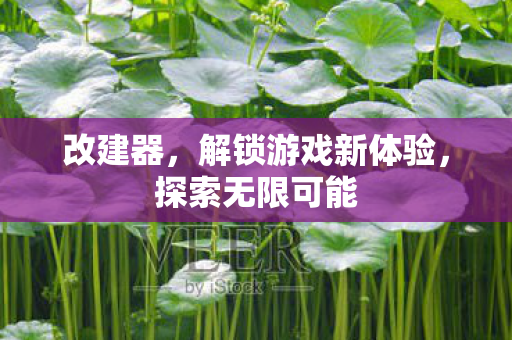 改建器，解锁游戏新体验，探索无限可能