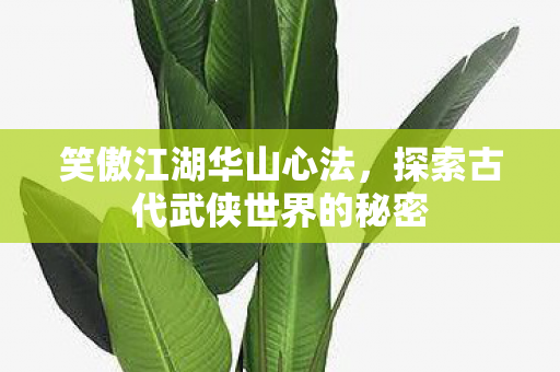 笑傲江湖华山心法，探索古代武侠世界的秘密