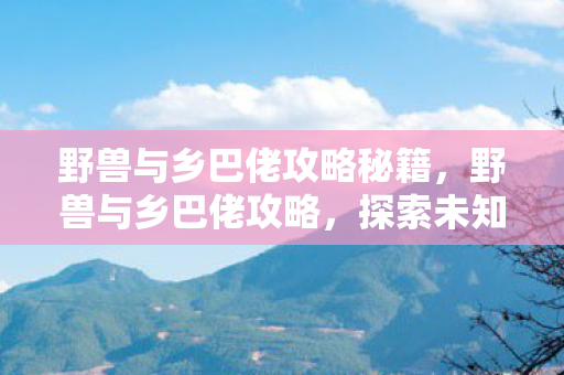 野兽与乡巴佬攻略秘籍，野兽与乡巴佬攻略，探索未知，挑战自我