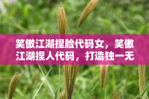 笑傲江湖捏脸代码女，笑傲江湖捏人代码，打造独一无二的江湖角色