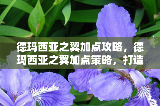 德玛西亚之翼加点攻略，德玛西亚之翼加点策略，打造高效输出的战斗法师