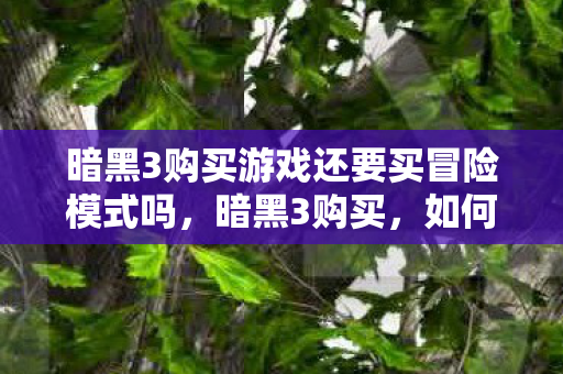 暗黑3购买游戏还要买冒险模式吗，暗黑3购买，如何安全、合法地获取游戏