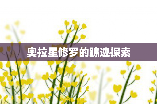 奥拉星修罗的踪迹探索