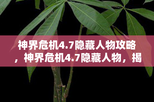 神界危机4.7隐藏人物攻略，神界危机4.7隐藏人物，揭秘未知的英雄传说