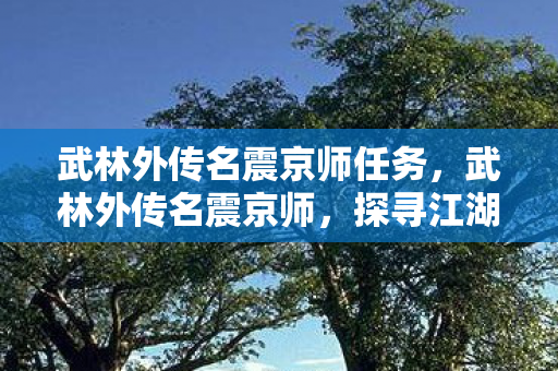 武林外传名震京师任务，武林外传名震京师，探寻江湖背后的传奇故事