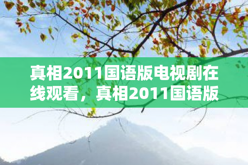 真相2011国语版电视剧在线观看，真相2011国语版，游戏世界的灰色阴影