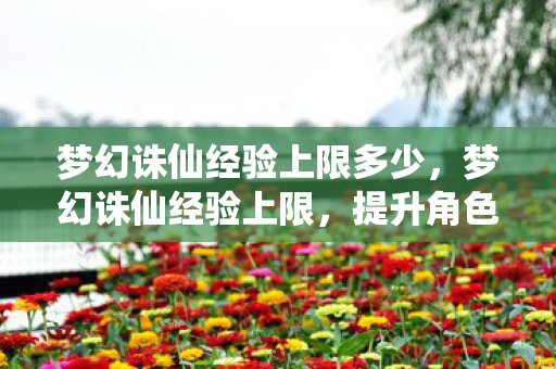 梦幻诛仙经验上限多少，梦幻诛仙经验上限，提升角色实力的关键策略