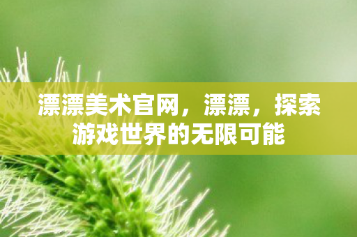 漂漂美术官网，漂漂，探索游戏世界的无限可能