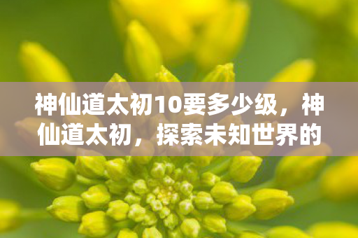 神仙道太初10要多少级，神仙道太初，探索未知世界的奇幻之旅