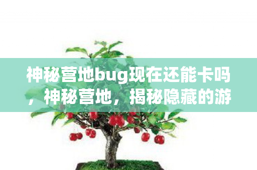 神秘营地bug现在还能卡吗，神秘营地，揭秘隐藏的游戏漏洞
