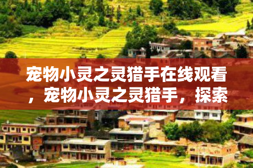 宠物小灵之灵猎手在线观看，宠物小灵之灵猎手，探索奇幻世界的奇妙旅程