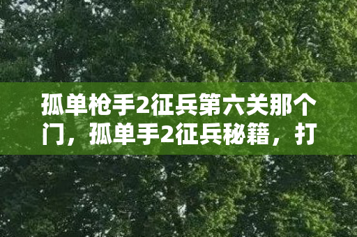 孤单枪手2征兵第六关那个门，孤单手2征兵秘籍，打造无敌军队，征服战场！