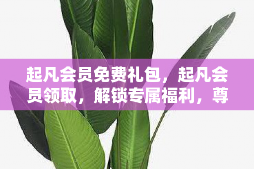 起凡会员免费礼包，起凡会员领取，解锁专属福利，尊享游戏特权