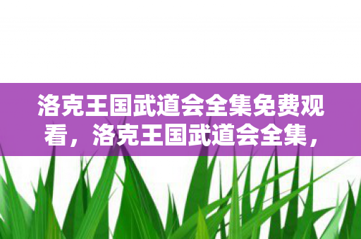 洛克王国武道会全集免费观看，洛克王国武道会全集，探索奇幻王国的武侠之旅