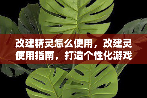 改建精灵怎么使用，改建灵使用指南，打造个性化游戏世界的秘密武器