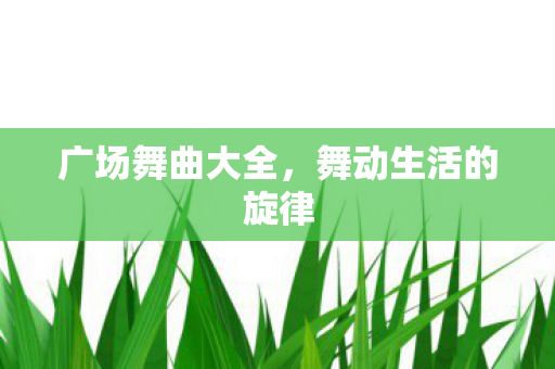 广场舞曲大全,舞动生活的旋律 广场舞曲大全,舞动生活的旋律