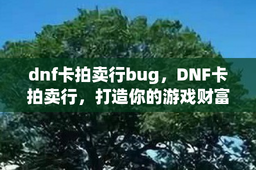 dnf卡拍卖行bug，DNF卡拍卖行，打造你的游戏财富新篇章