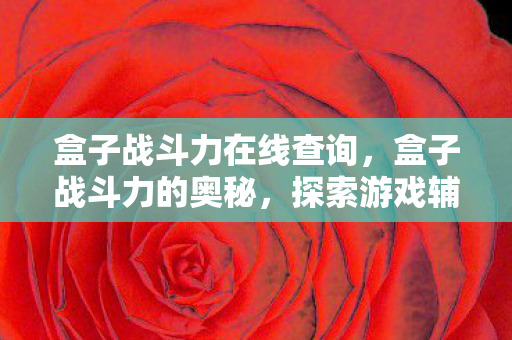 盒子战斗力在线查询，盒子战斗力的奥秘，探索游戏辅助工具的力量与界限