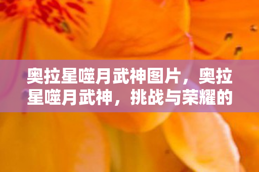 奥拉星噬月武神图片，奥拉星噬月武神，挑战与荣耀的传奇之旅