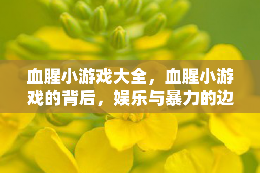 血腥小游戏大全，血腥小游戏的背后，娱乐与暴力的边界