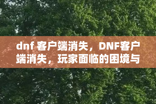 dnf 客户端消失，DNF客户端消失，玩家面临的困境与官方应对措施