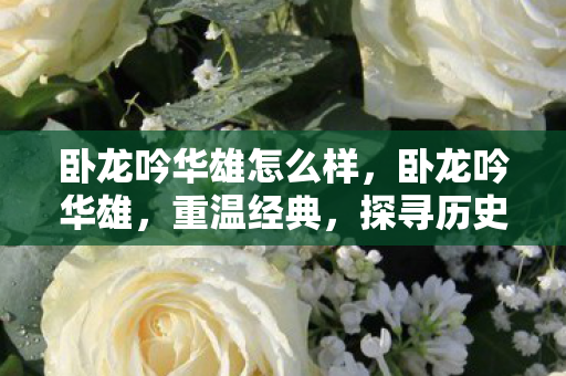 卧龙吟华雄怎么样，卧龙吟华雄，重温经典，探寻历史长河中的英雄身影
