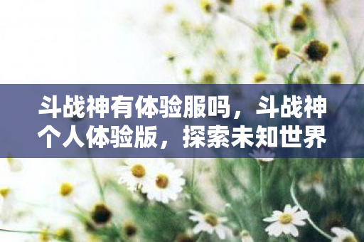 斗战神有体验服吗，斗战神个人体验版，探索未知世界的奇妙之旅