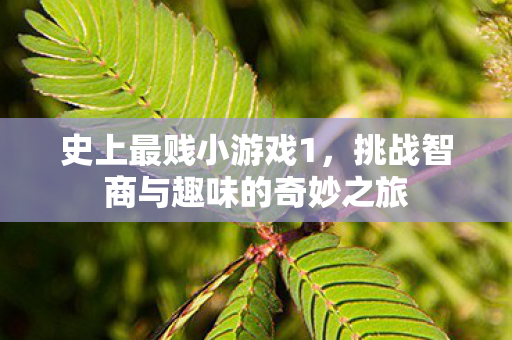 史上最贱小游戏1，挑战智商与趣味的奇妙之旅