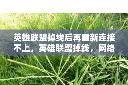 英雄联盟掉线后再重新连接不上，英雄联盟掉线，网络波动下的游戏挑战与应对策略