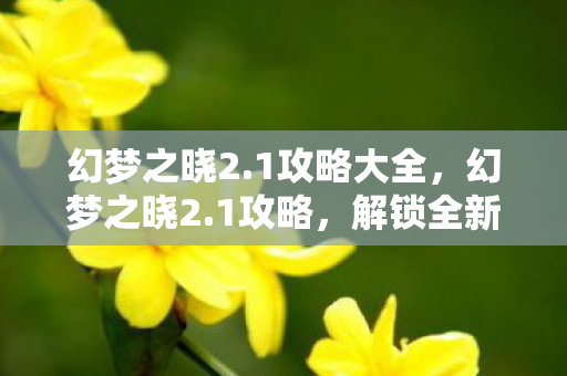 幻梦之晓2.1攻略大全，幻梦之晓2.1攻略，解锁全新冒险，成就非凡之旅