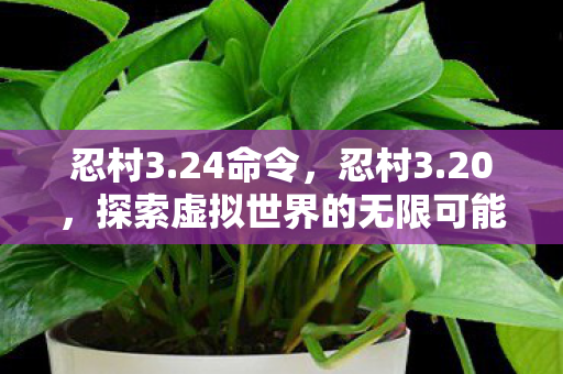 忍村3.24命令，忍村3.20，探索虚拟世界的无限可能