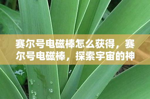 赛尔号电磁棒怎么获得，赛尔号电磁棒，探索宇宙的神秘力量