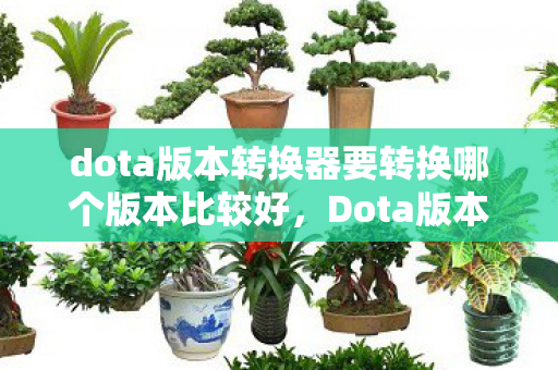 dota版本转换器要转换哪个版本比较好，Dota版本转换，探索游戏历史的变迁与玩家情怀