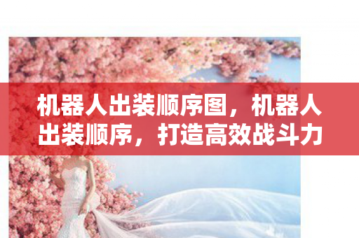 机器人出装顺序图，机器人出装顺序，打造高效战斗力的关键步骤