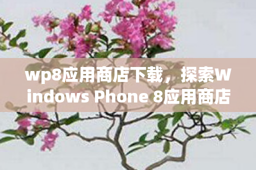 wp8应用商店下载，探索Windows Phone 8应用商店，创新与机遇并存