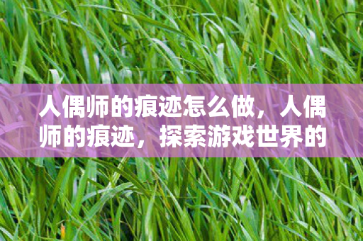 人偶师的痕迹怎么做，人偶师的痕迹，探索游戏世界的另一面