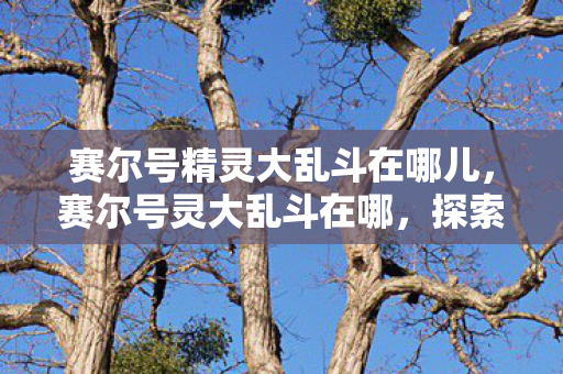 赛尔号精灵大乱斗在哪儿，赛尔号灵大乱斗在哪，探索官方游戏世界的精彩