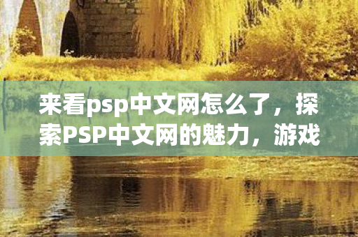 来看psp中文网怎么了，探索PSP中文网的魅力，游戏文化的独特视角与社区互动