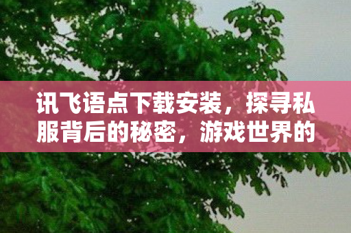 讯飞语点下载安装，探寻私服背后的秘密，游戏世界的另一面