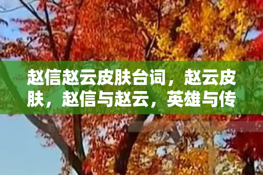 赵信赵云皮肤台词，赵云皮肤，赵信与赵云，英雄与传奇的碰撞