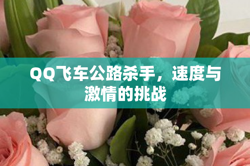 QQ飞车公路杀手，速度与激情的挑战